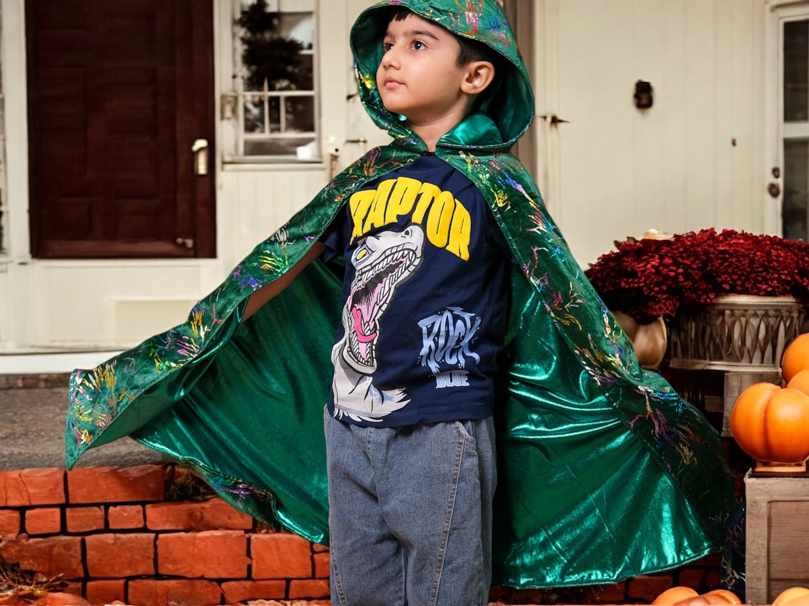 Reversible Kids Wizard Cape and Glowing Wand